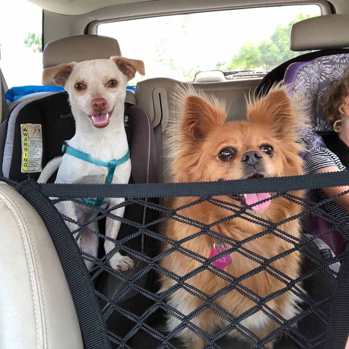Sedile posteriore per cani da  - Partition Screen Divider recensione e prezzo